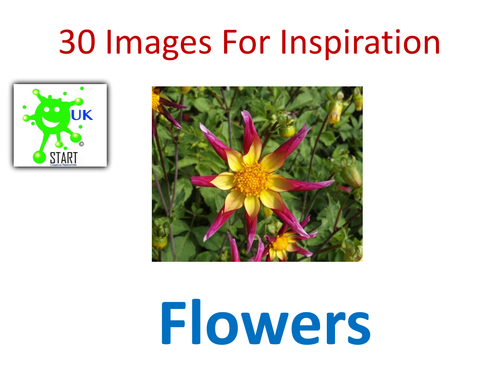 Visual art Resource - 30 Images of Flowers