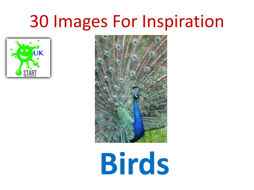 Visual Art Resource - 30 Images of Birds