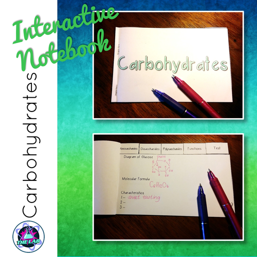 Carbohydrates Interactive Notebook
