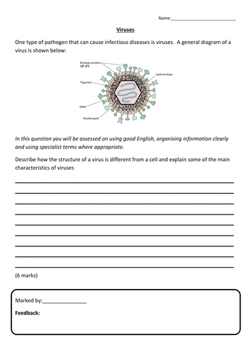 Viral Diseases Lesson | Teaching Resources