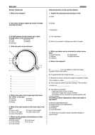 sense organs worksheet teaching resources
