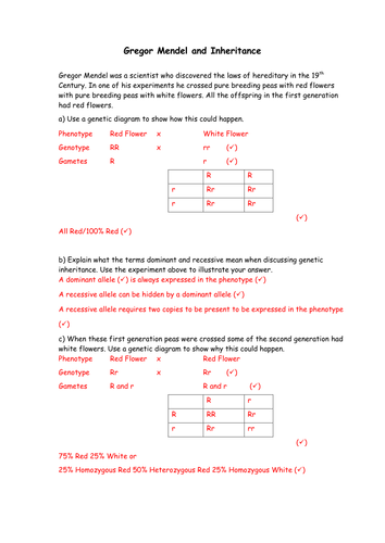 Biology: Gregor Mendel by greenAPL - UK Teaching Resources - TES