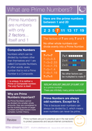 Prime Numbers Free Poster | Teaching Resources