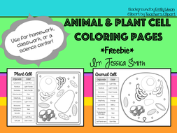 Animal Plant Cell Coloring Pages