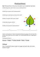 True or false questions about photosynthesis picture