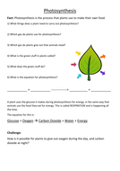essay question for photosynthesis