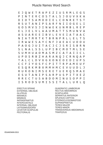 Starters Human Biology Anatomy Word Search by sjakeman - Teaching