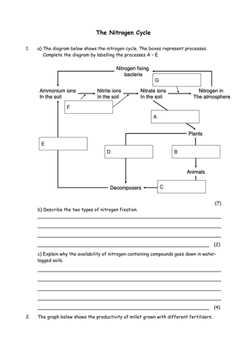 Biology: Nitrogen cycle worksheet | Teaching Resources