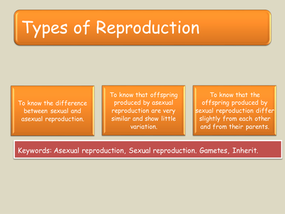Types of Reproduction by Scuttscience - UK Teaching Resources - TES