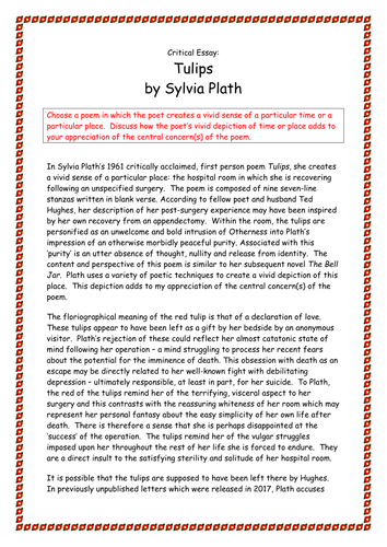 Higher English 6x critical essays on Philip Larkin and Sylvia Plath ...