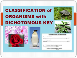 Classifying Organisms Dichotomous Key | Teaching Resources