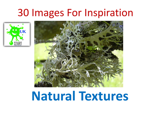 Visual Art Resource - 30 Images of Natural Textures