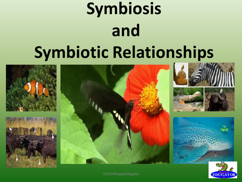 Symbiosis Symbiotic Relationships Powerpoint Teaching Resources 