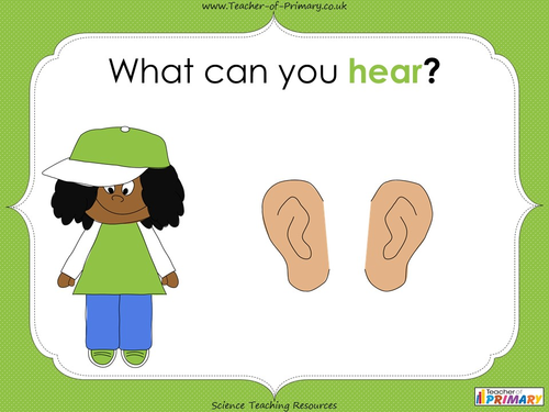 senses homework ks1