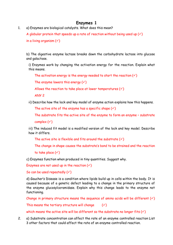 Biology: Biological Molecules Collection for A Level Year 1 by greenAPL