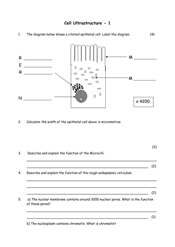 pdf, 31.04 KB