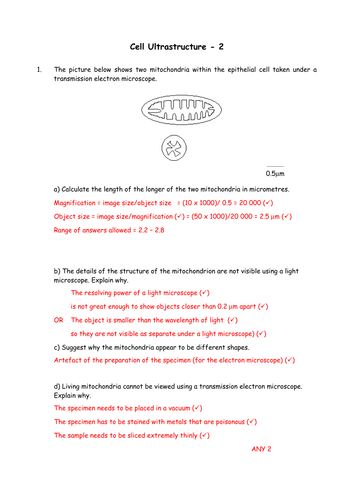 pdf, 38.1 KB