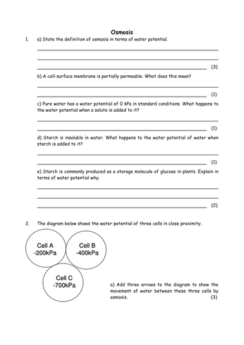 pdf, 30.63 KB