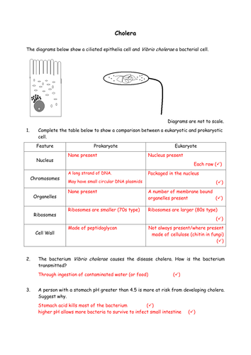 pdf, 40.58 KB