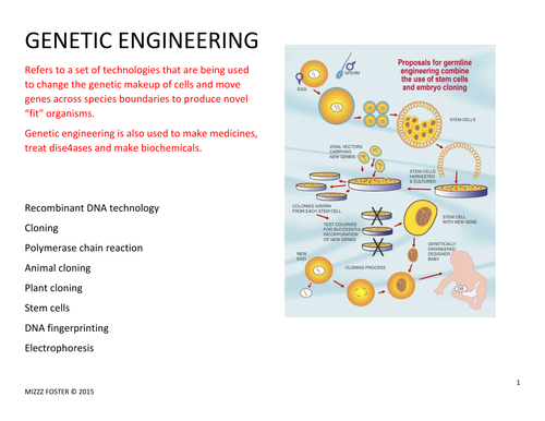 Genetic Engineering Worksheet and Answer Key | Teaching Resources