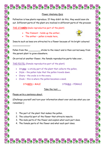 Anatomy of a flower KS2 (Year 5) | Teaching Resources