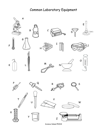 31 Science Lab Tools Worksheet - support worksheet