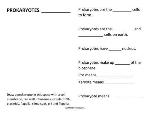 Prokaryote: Bacteria Worksheets and Answer Key by mizzzfoster