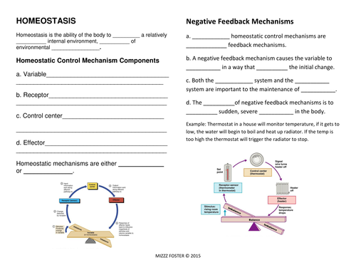 Printables Homeostasis Worksheet homeostasis worksheets and answer key by mizzzfoster teaching resources tes