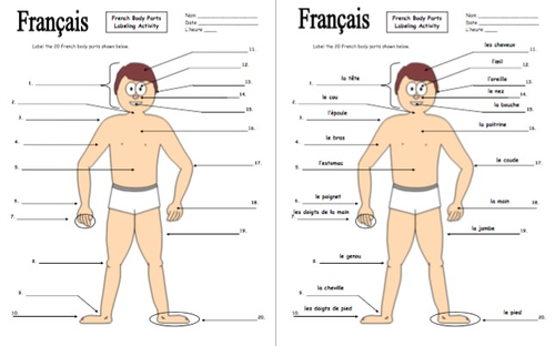 French Body Parts Diagram To Label With 20 Body Parts Teaching Resources