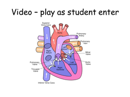 transport animals circulatory system igcse cambridge unit ppt