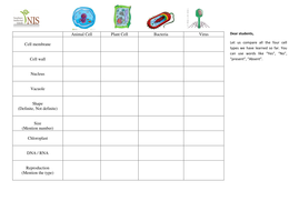 Viruses And Bacteria Worksheet - Promotiontablecovers