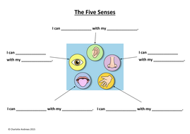 The Five Senses Worksheets | Teaching Resources