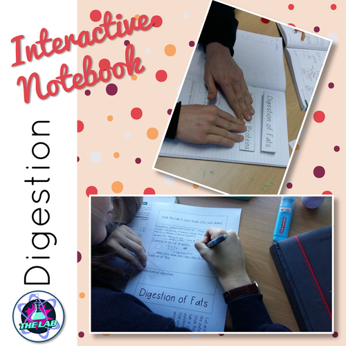 Digestion Interactive Notebook