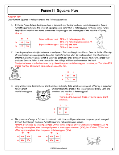 Printables Punnett Square Worksheet Answers punnett square practice worksheets pichaglobal pictures problems worksheet answers kaessey