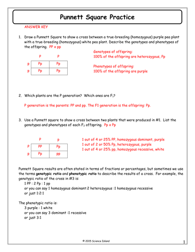 Punnett Square Worksheet 1 Answers Promotiontablecovers