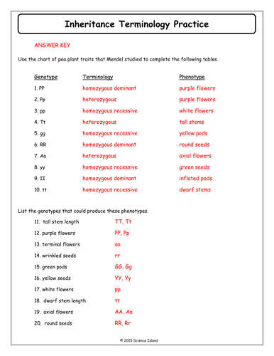 Worksheets Patterns Of Inheritance Worksheet inheritance activities genetics terminology and punnett squares 5 answer key docx