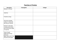 AQA A level Biology new spec year 1 1.6 Proteins | Teaching Resources
