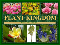 Image result for plant kingdom