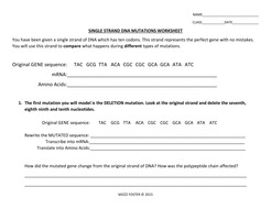 Dna Mutations Practice Worksheet Answer Key Biology