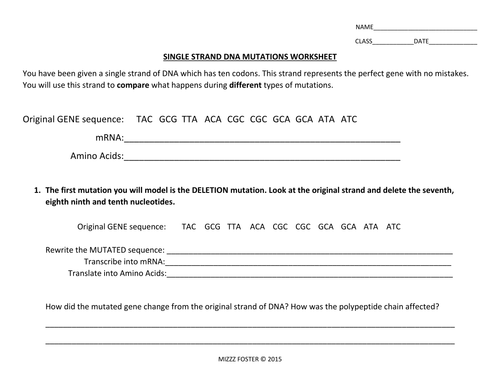 Dna Mutations Worksheet Answer Key Biology