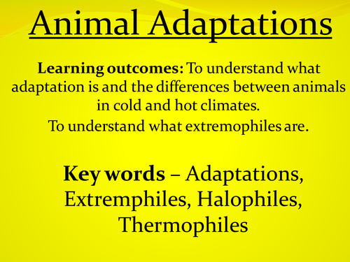 Plant and animal adaptation | Teaching Resources