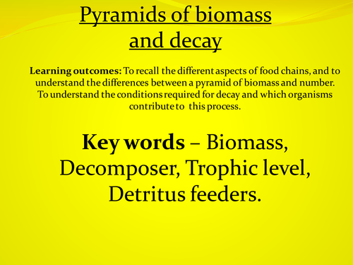 Biomass and decay | Teaching Resources
