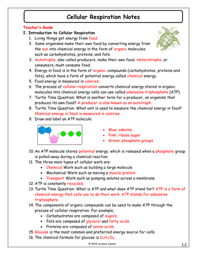 🏷️ Cellular respiration notes. Cellular Respiration Notes. 2019-01-29