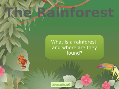 The Rainforest - powerpoint lessons and activities | Teaching Resources