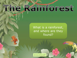 The Rainforest - powerpoint lessons and activities by highwaystar ...