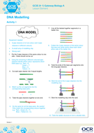 KS4 Biology DNA modelling activity | Teaching Resources