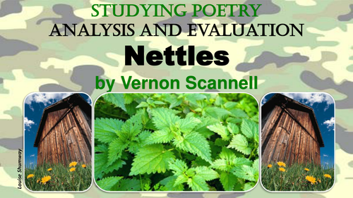 nettles-by-vernon-scannell-by-hollieshumway-teaching-resources-tes