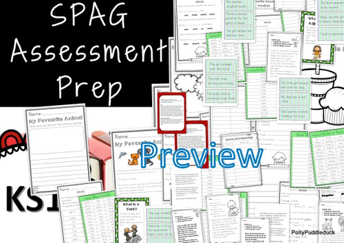 Spelling, Punctuation and Grammar Pack (Assessment Prep)