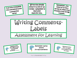 writing assessment comments