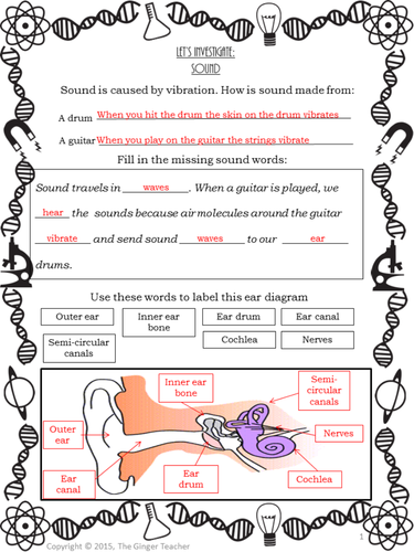 Sounds, Vibrations and Hearing Science STEAM Worksheets | Teaching